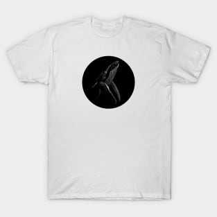 Humpback Whale T-Shirt